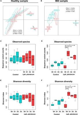 Impact of Food Origin Lactiplantibacillus plantarum Strains on the Human Intestinal Microbiota in an in vitro System